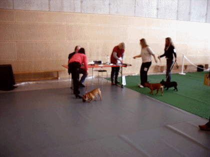 Loulou Ausstellung