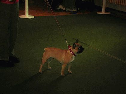 Loulou Ausstellung
