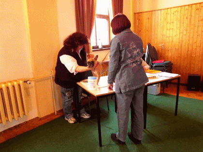 Scotti Ausstellung
