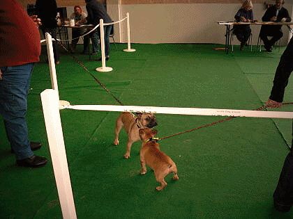 Scotti Ausstellung