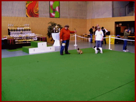 Scotti Ausstellung