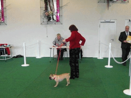 Loulou Ausstellung